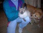 2006 xmas and stuff 009.jpg