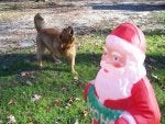 Lawn ornament Statue Garden gnome Grass Canidae
