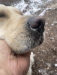 IMG_1906.jpeg